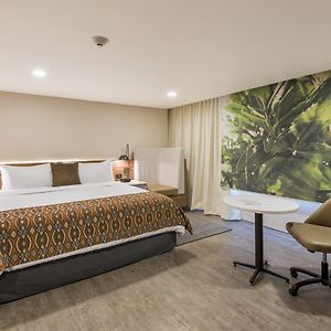 King Junior Suite or Garden Floor